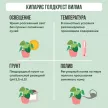 Кипарис Голдкрест Вилма d10 h35