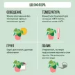 Шеффлера микс d9 см