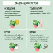 Драцена Джанет Крейг d6/7 см