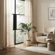 Хризалидокарпус d20 см h90-120 см