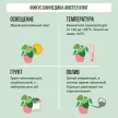 Фикус Биннедика Амстел Кинг переплетенный 24х100 см