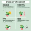 Драцена Маргината Маджента d11 см