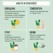 Кактус и суккулент микс поткавер d3,5 см
