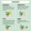 Нефролепис подвес d17 см h55 см