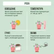 Роза Микс d10 см