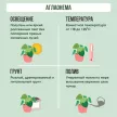 Аглаонема Паттая Бьюти d12 см