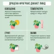 Драцена фрагранс Джанет Линд разветвленная d21 см h110 см