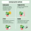 Филодендрон Биркин d12 см h15-20 см
