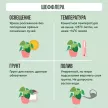 Шеффлера Голд Капелла переплетенная d17 см h60 см