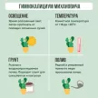 Гимнокалициум Михановича d5 см h10 см