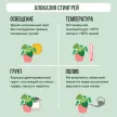 Алоказия Стингрей d12 см