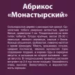 Абрикос Монастырский (в тубе)