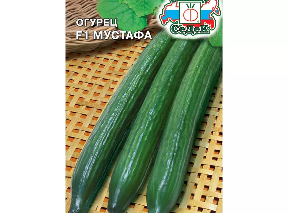 Огурец Мустафа F1, 0,15 г - baucenter.ru Огурец Мустафа F1, 0,15 г
