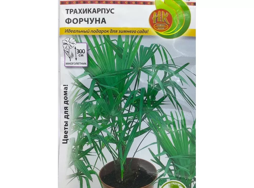 Трахикарпус Форчуна 5 шт