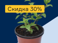 Сезонная распродажа растений. Скидка 30%