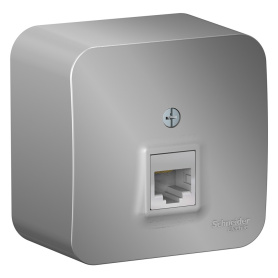 Розетка компьютерная Systeme Electric Бланка алюминий