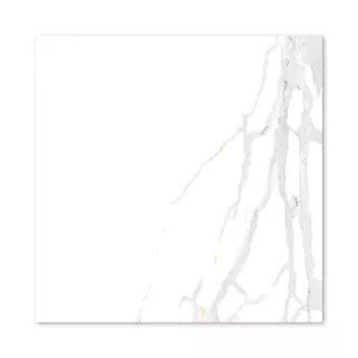 Керамогранит Сатуарио рисол полированный 60х60 см ректификат