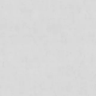 Обои флизелиновые 10х1,06 м Артекс Оазис 11391-03 К3206