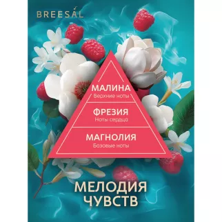 Аромадиффузор Breesal Fleur Мелодия чувств 60 мл