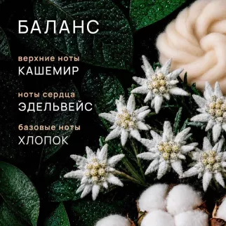 Аромадиффузор Aromatherapy Баланс 70 мл