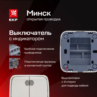 Выключатель двухклавишный EKF Минск с подсветкой белый