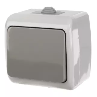 Выключатель одноклавишный EKF Мурманск серый