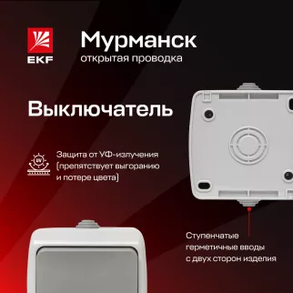 Выключатель одноклавишный EKF Мурманск серый