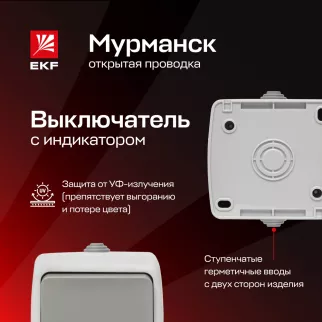 Выключатель одноклавишный EKF Мурманск с подсветкой серый