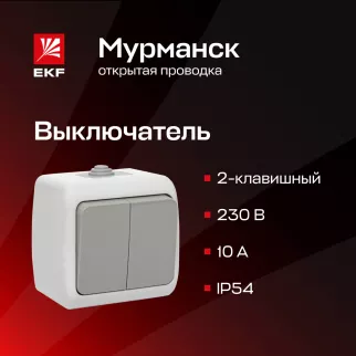Выключатель двухклавишный EKF Мурманск серый