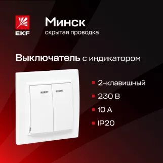 Выключатель двухклавишный EKF Минск с рамкой с подсветкой белый
