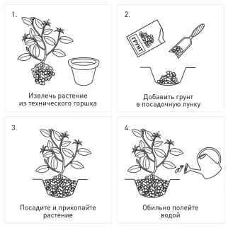 Грунт для азалий и рододендронов Veltorf 25 л