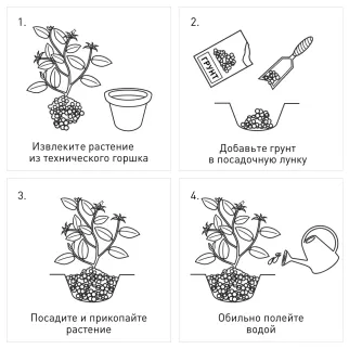 Грунт для голубики кислый ФАСКО 50 л