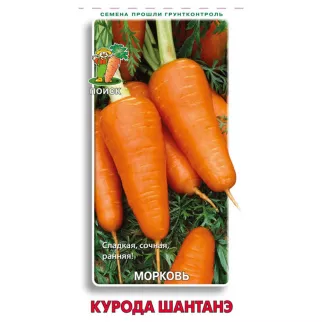 Морковь Курода Шантанэ 2 г Поиск