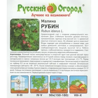 Малина Рубин 22 шт