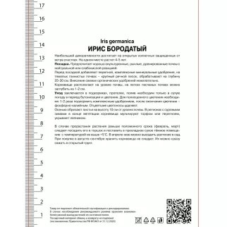 Ирис бородатый Блэк Вотч 1 шт
