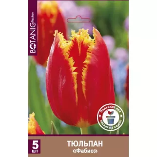 Тюльпан бахромчатый Фабио 5 шт