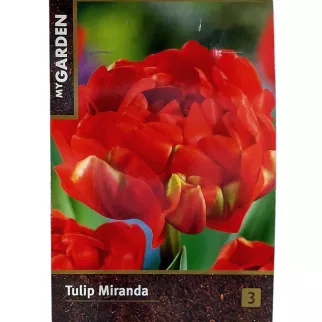 Тюльпан махровый поздний Миранда 3 шт My Garden
