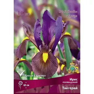 Ирис голландский Тайгерай 10 шт