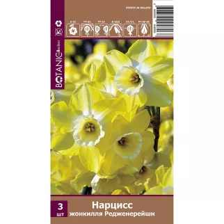 Нарцисс жонкилля Редженерейшн 3 шт