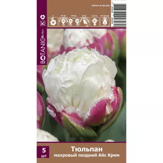 Тюльпан махровый поздний Айс Крим 5 шт