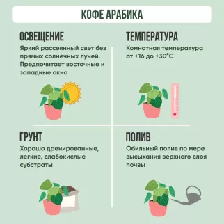 Кофе Арабика в кружке d9 см h20 см