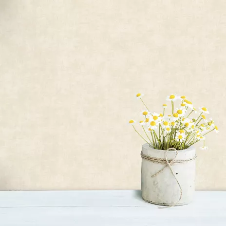 Обои флизелиновые 10х0,53 м GrandecoLife Ciara A53701 К2643