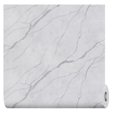 Обои флизелиновые 10х1,06 м HomeColor Rich Potal HC72604-14 К3031