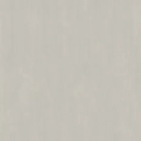 Обои флизелиновые 10х1,06 м Аспект Техас 70702-22 К3112