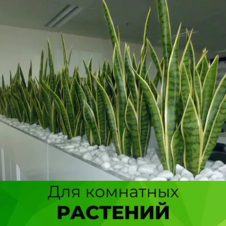 Камень галтованный Мрамор белоснежный 20-30 мм 20 кг