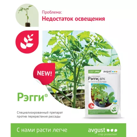Регулятор роста растений Рэгги Avgust 1 мл