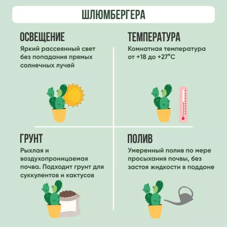 Шлюмбергера микс d9 см h20 см