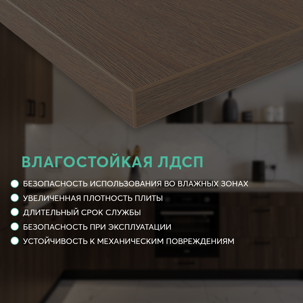 Дуб Аскона