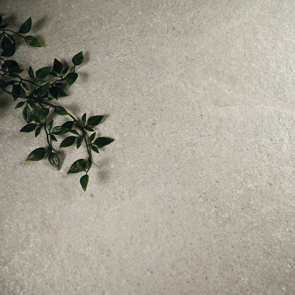 Ардезия Rocersa