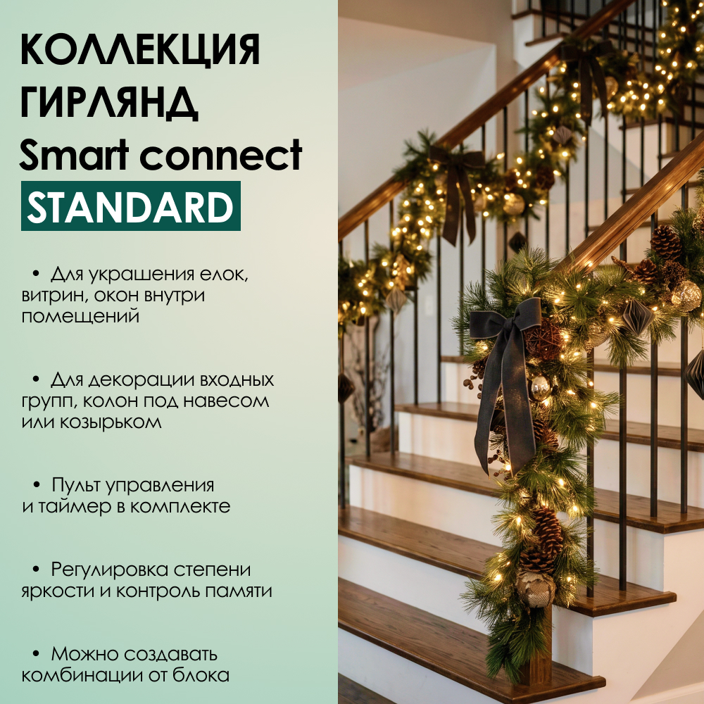 SMART CONNECT STANDARD - теплый свет, зеленый провод